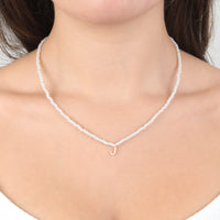 SG341581PLV